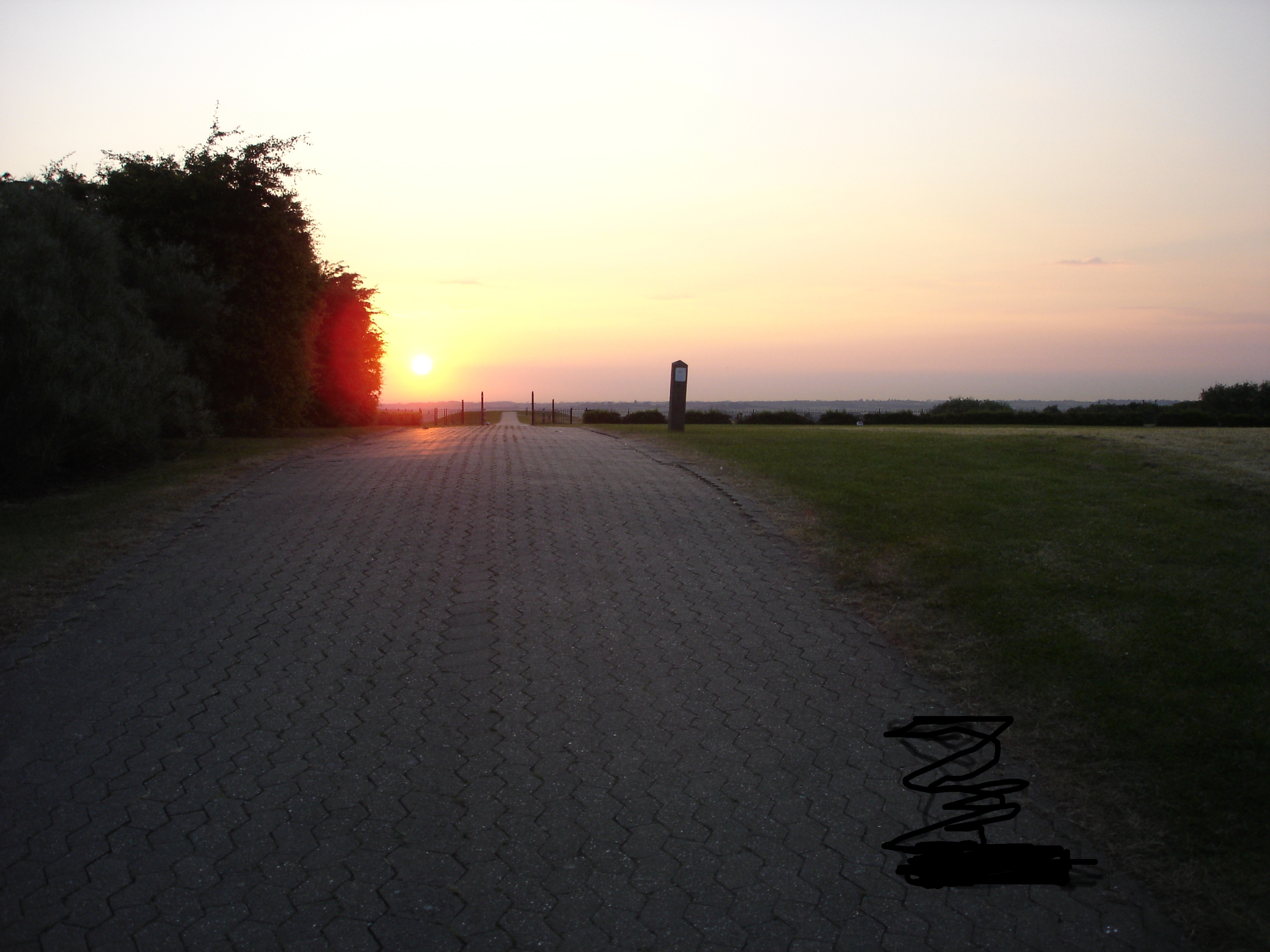 Campbell Park in Midsummer